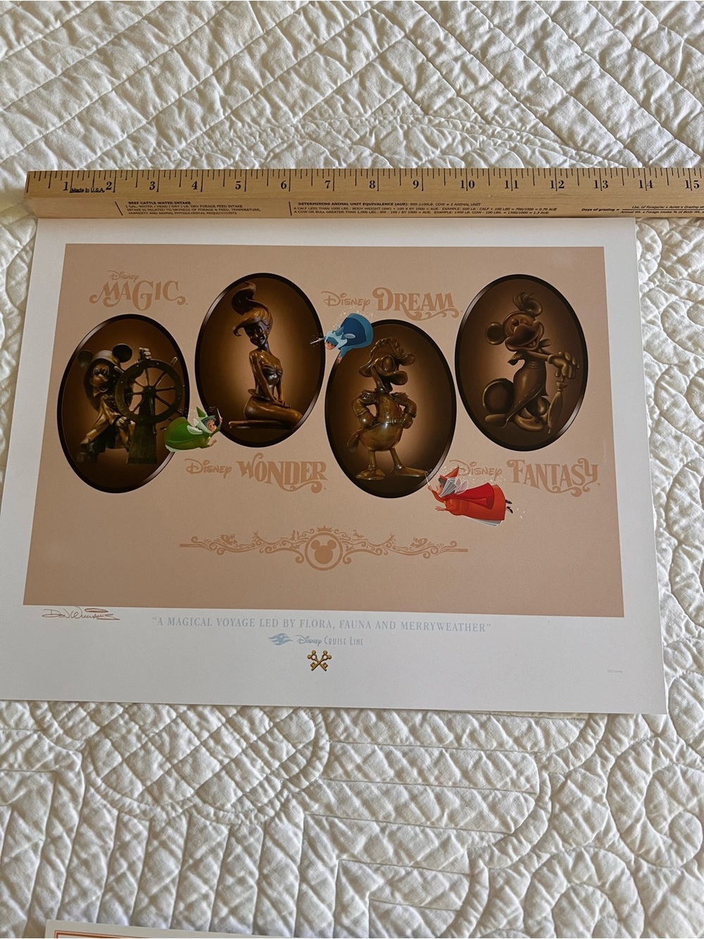 Disney Cruise Line Lithograph with Certificate of Authenticity
